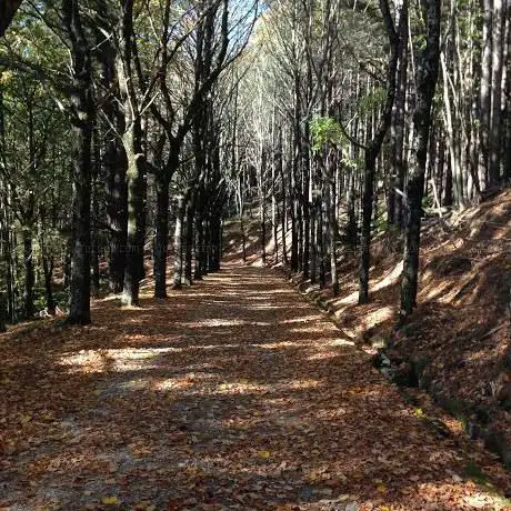 Photo de Eremo di Campiglioni