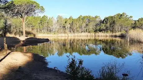 Photo de Lac des Requins