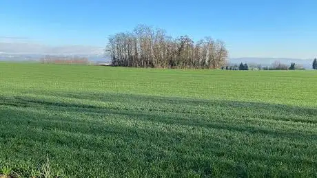 Photo de Colline d'Hausbergen - Partie Nord
