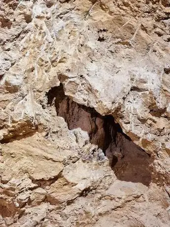 Photo de NEAN Parc Prehistòric de Capellades