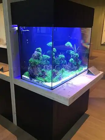 Photo de NewWave Aquatics - Aquatics Design and Maintenance