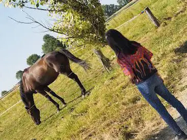 Photo de Crossogue Stud