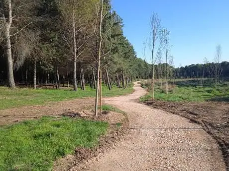 Photo de Plantaciones Meco