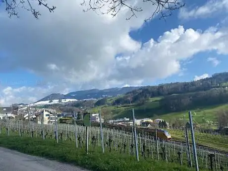 Wanderweg Pfäffikon SZ nach Hurden