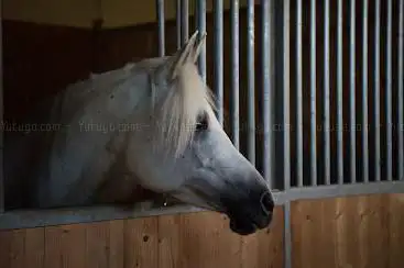 Equetec