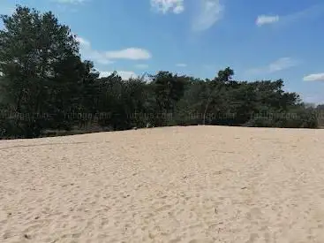 Sandberge Speyer