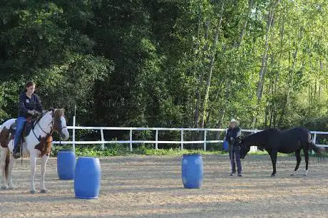 Lischeto Ranch