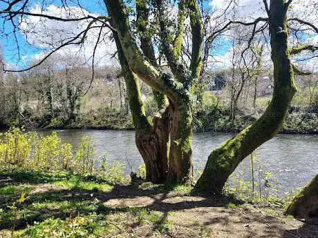 Photo de Taff Trail  Treforest