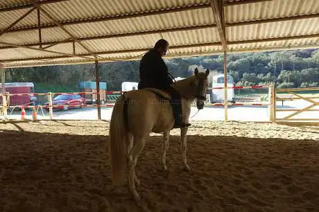Photo de HÃÂpica ClarÃ