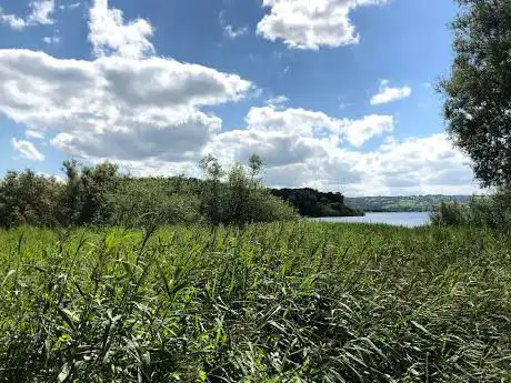 Photo de Chew Valley Lake