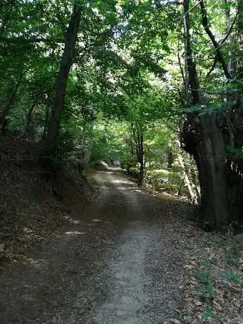 Photo de Boschi di Sangano
