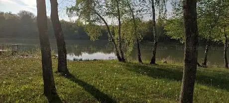 Photo de Etang de Bressieux
