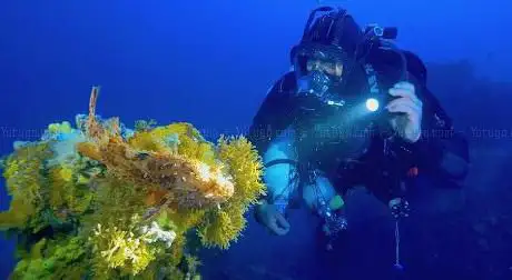 Diving Mediterraneo - Centro Formazione Istruttori Subacquei Wase Diveducation