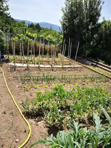 Photo de Jardins familiaux Berre Pastour
