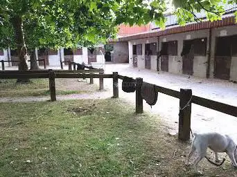 Photo de Centre Equestre L'Etrier Fontenaisien