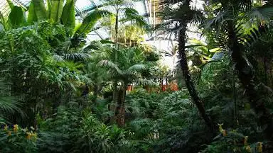 Palmengarten