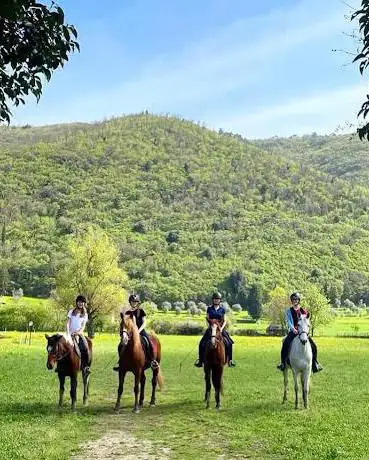 Photo de Scuderie di Rosano