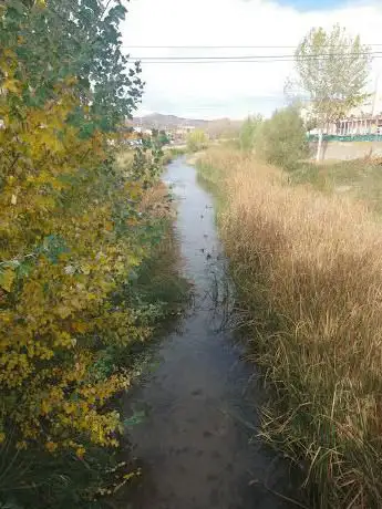 Photo de Rio Cidacos