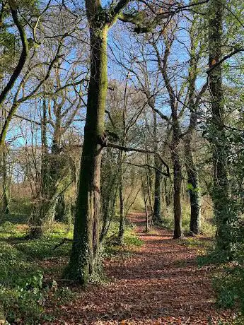 Photo de Coombe Wood