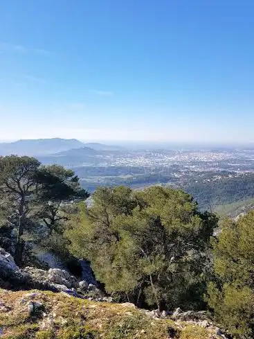 Photo de Le Gros Cerveau