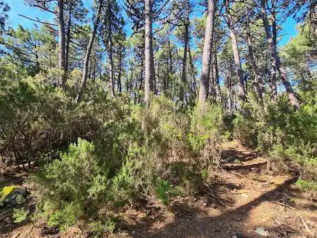 Monte Aspro