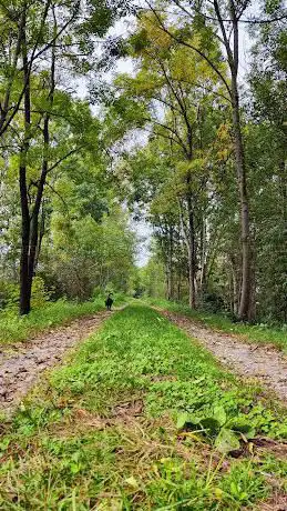 Parco del piano di Magadino