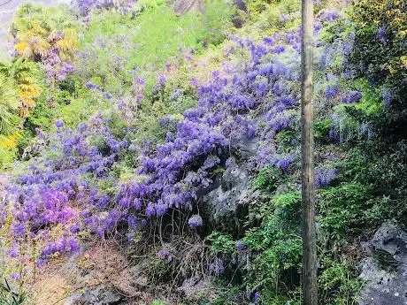 Giardino botanico Tegna