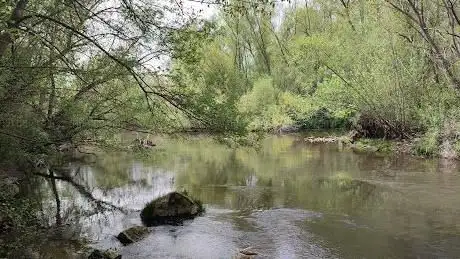 Illa del Salgar sobre el Segre