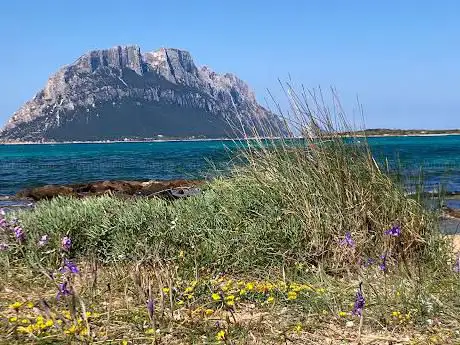 Centro di Olbia