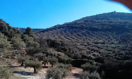 Photo de Cortijo El Chaparral