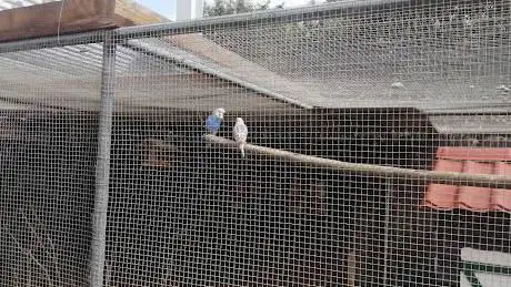 Dierenparkje