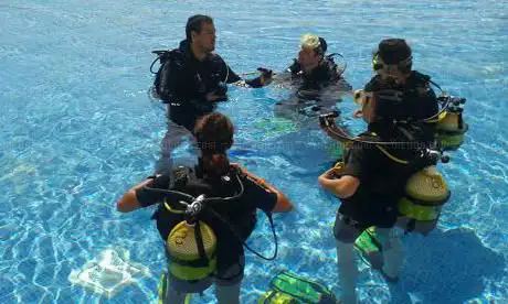 Photo de UDiving - Albacora