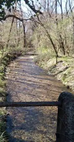 Photo de Oasi naturalistica del Bottaccio