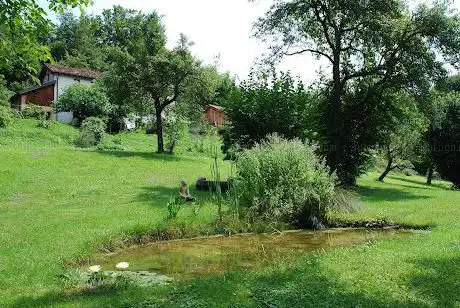Photo de La collina dei sette ciliegi