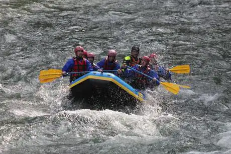 River Action