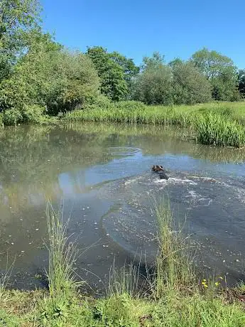 Photo de Roydon Fen Nature Reserve