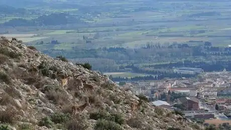 Muntanya d'Ullà