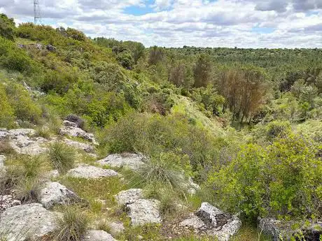 Photo de forestal de Valdilecha Park