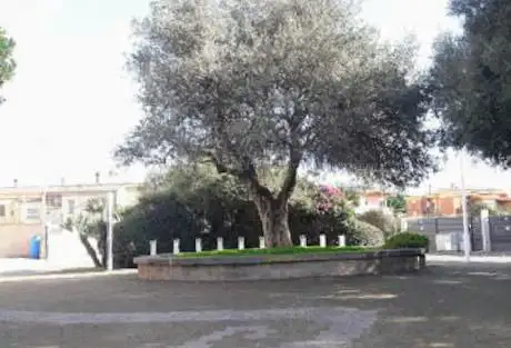 Piazza dell'Olivo