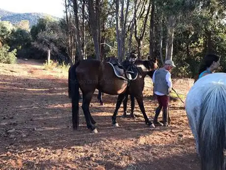 Vacanze Cavallo Toscana In maremma - Passeggiate a cavallo e in spiaggia