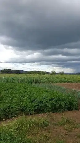 Photo de Campo da Golf
