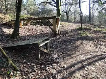 Photo de Crazy Wood VTT