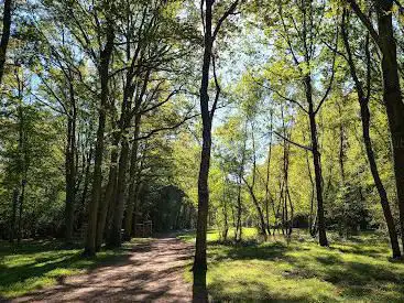 Photo de Yvris Woods