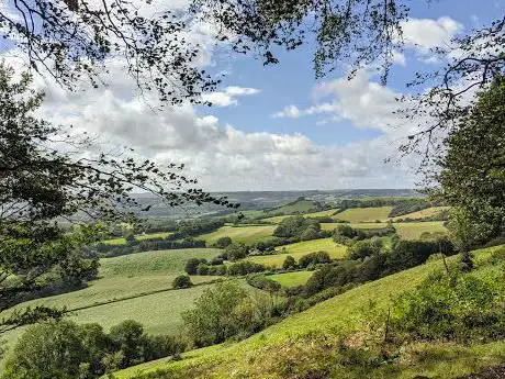 Lewesdon Hill