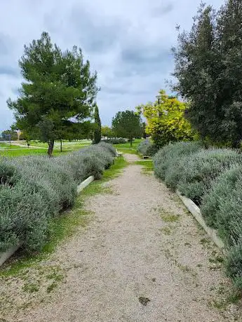 Photo de Parco Comunale 