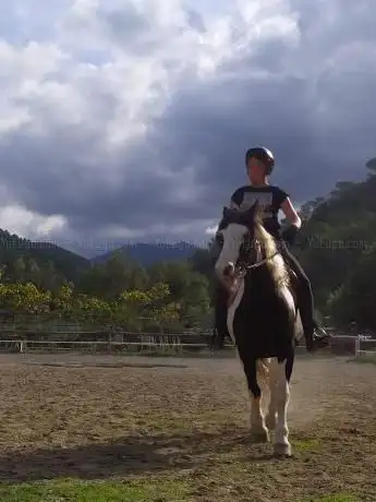 Photo de Centro ippico cavallo George