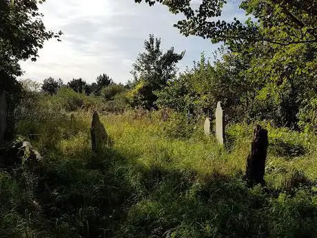 Photo de East Ham Nature Reserve