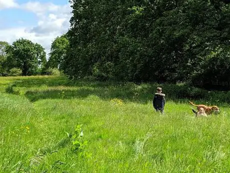 Photo de Pumphouse Wood