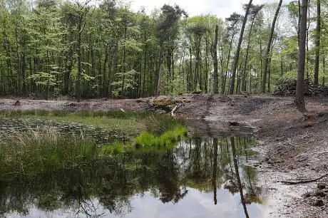 Photo de Nederlandse oorlogsgraven