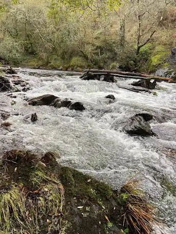 Photo de Fervenza da grifa